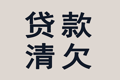无证据支持，原告诉求因欠条不足以证明借贷关系被法院驳回